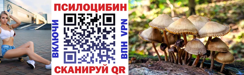 Псилоцибиновые грибы Psilocybine cubensis  Новосокольники 